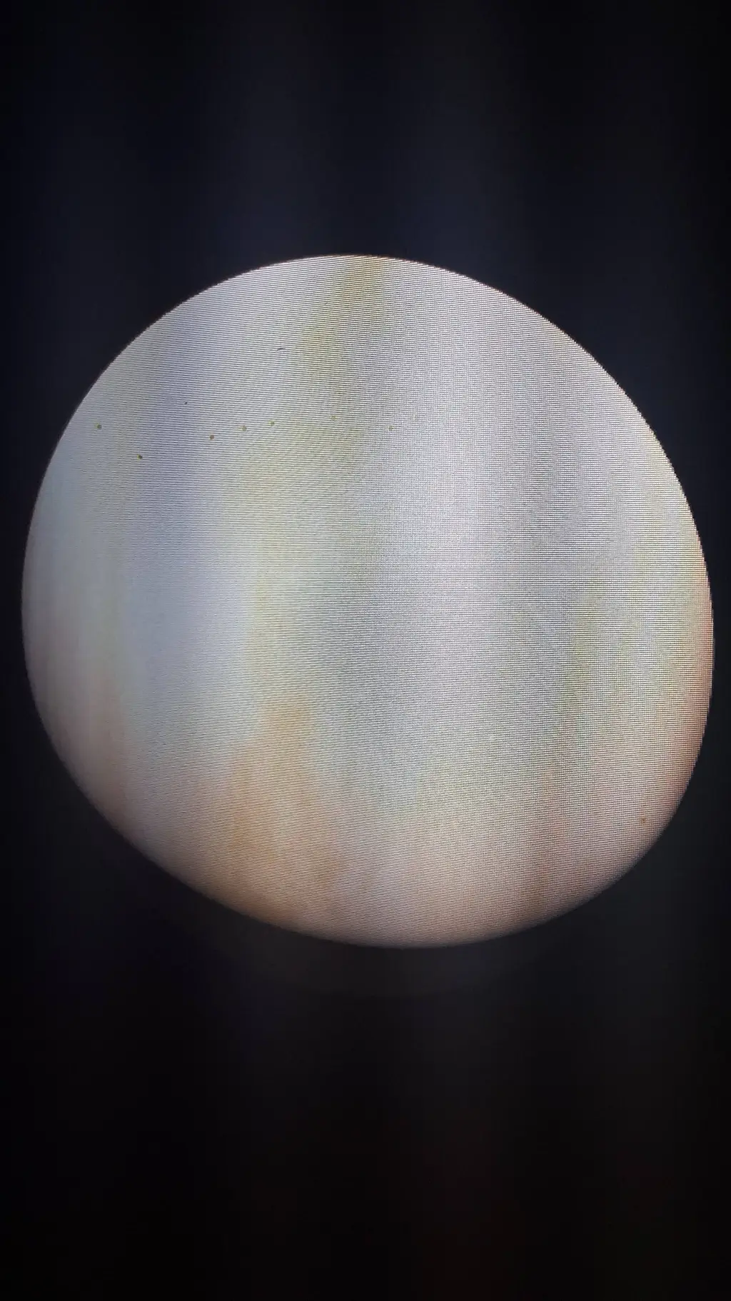 ai character: Venus background