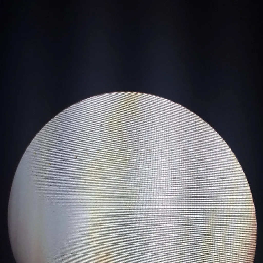 chat with ai character: Venus