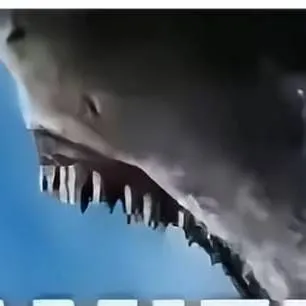 chat with ai character: grupo de  Roblox.