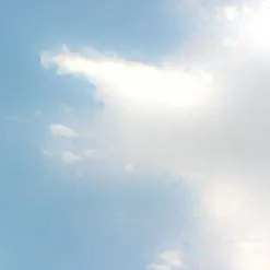 chat with ai character: noseXD