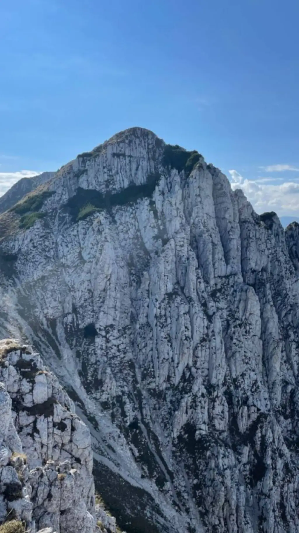 ai character: Mountains trip background