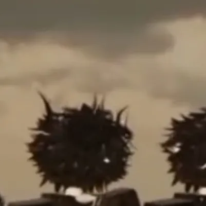 chat with ai character: 3 cute boy 