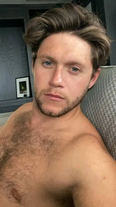 ai character: Niall Horan  background