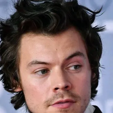 chat with ai character: Harry Styles 