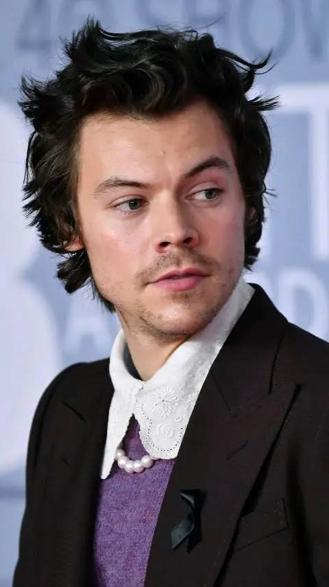 ai character: Harry Styles background