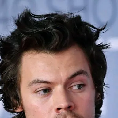 chat with ai character: Harry Styles