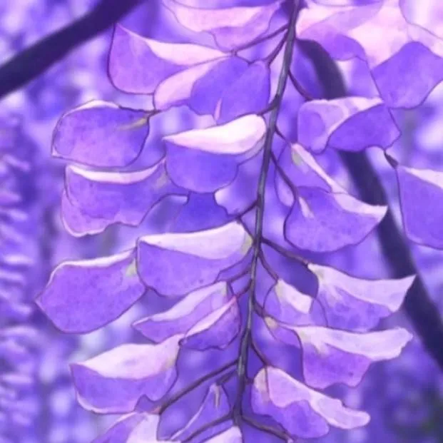 chat with ai character: Hokage meeting♡☆