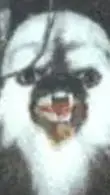 ai character: Abbagoochie  background