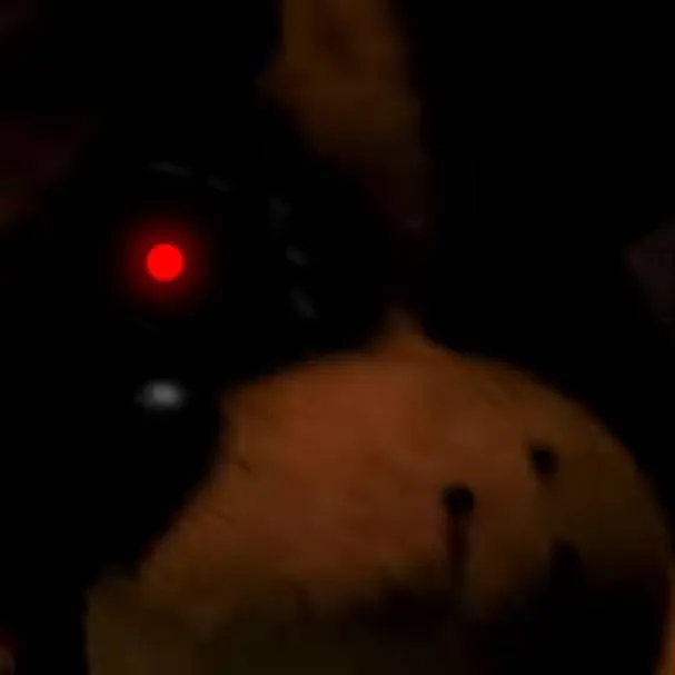 chat with ai character: Freddy old frie
