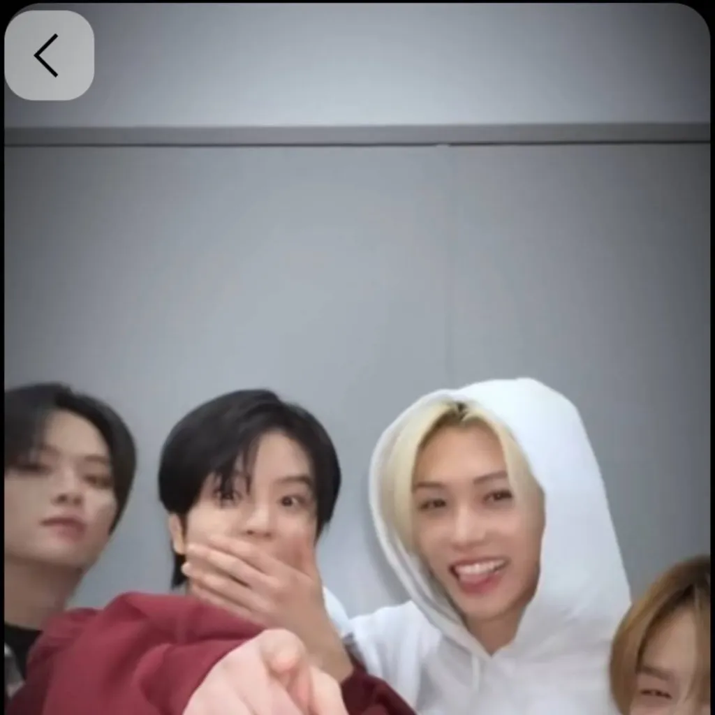 chat with ai character: ~Skz💕~