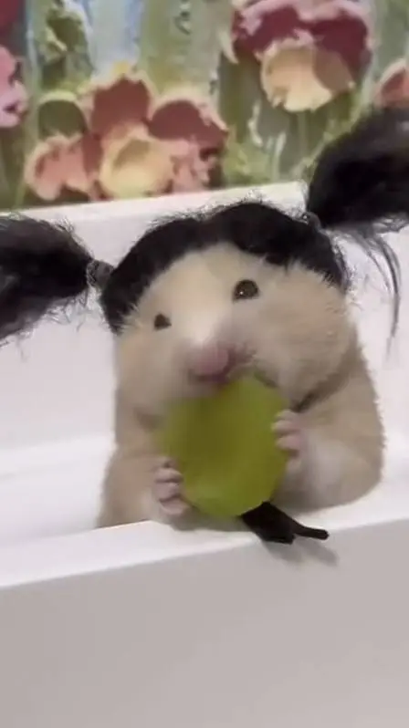 ai character: Hh infection background