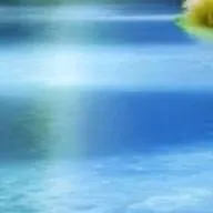 chat with ai character: stan