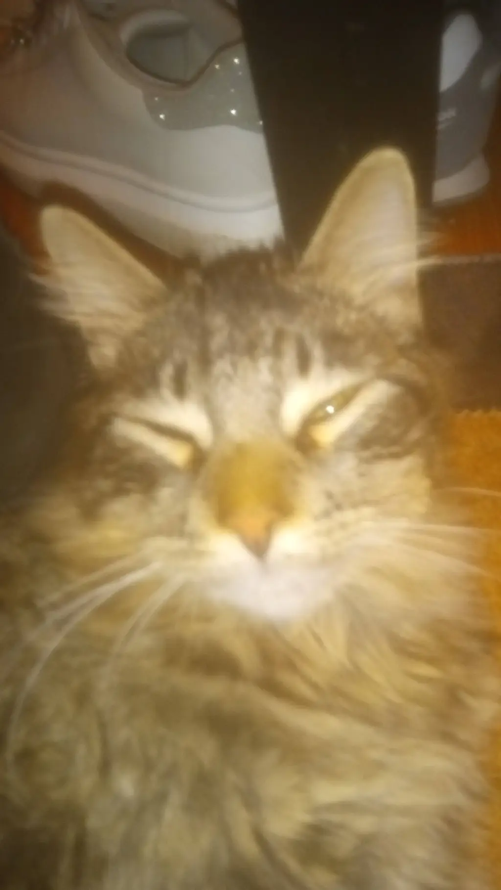 ai character: bro background