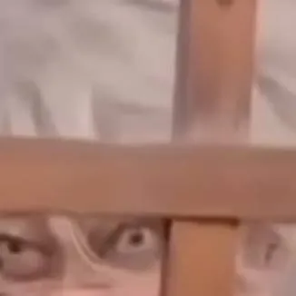 chat with ai character: otaku