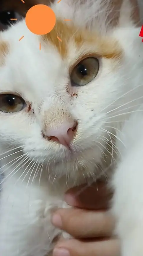 ai character: Patricia background