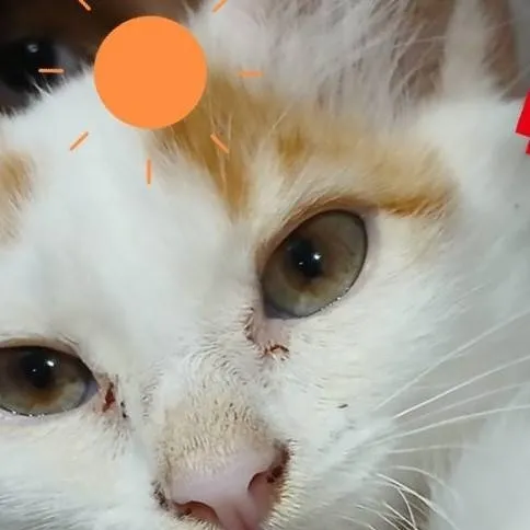 chat with ai character: Patricia