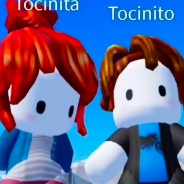 chat with ai character: Tocinita x Tocinit