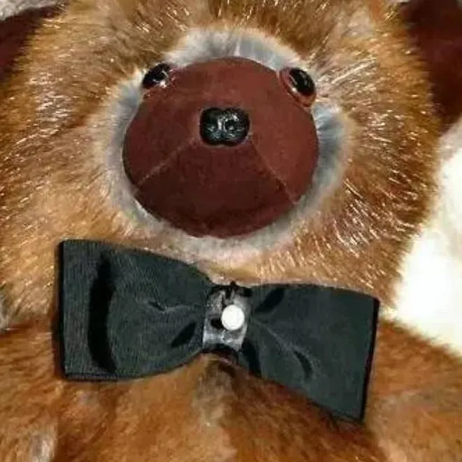 chat with ai character: Bear 