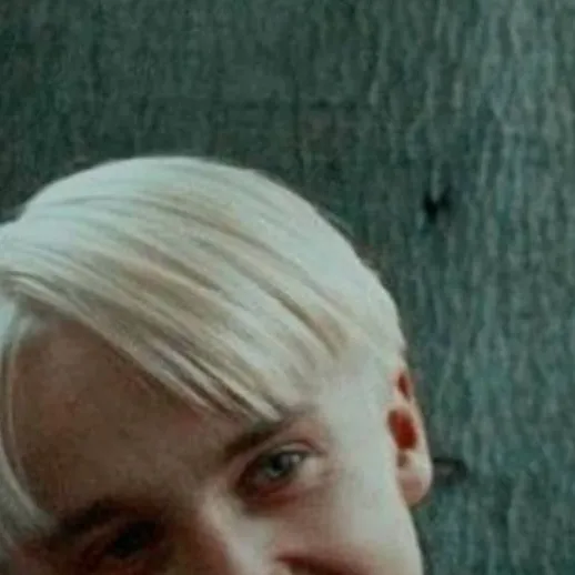 chat with ai character: draco x y/n