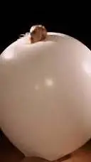 ai character: chica ballon  background