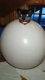 ai character: furry Ballon  background