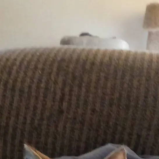 chat with ai character: cat
