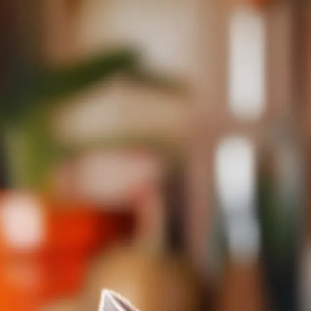 chat with ai character: sprout enamorado ?