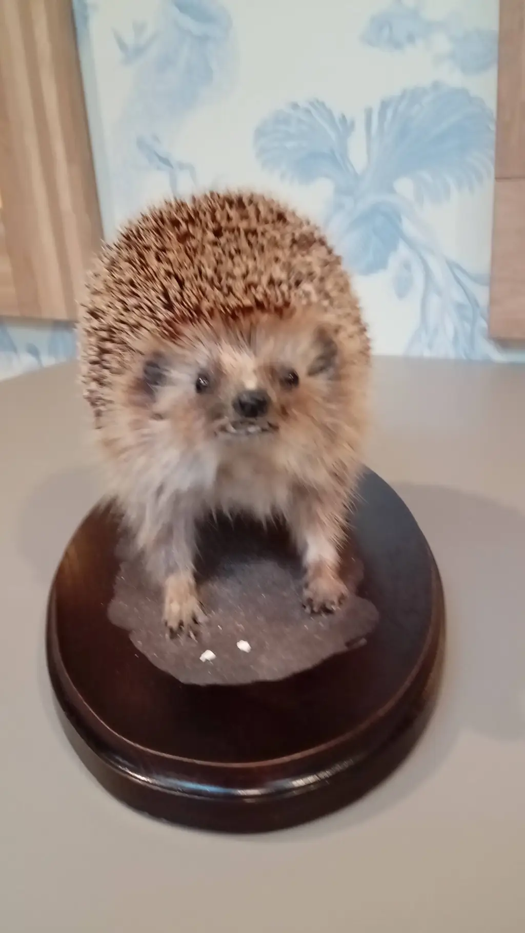 ai character: vijand background