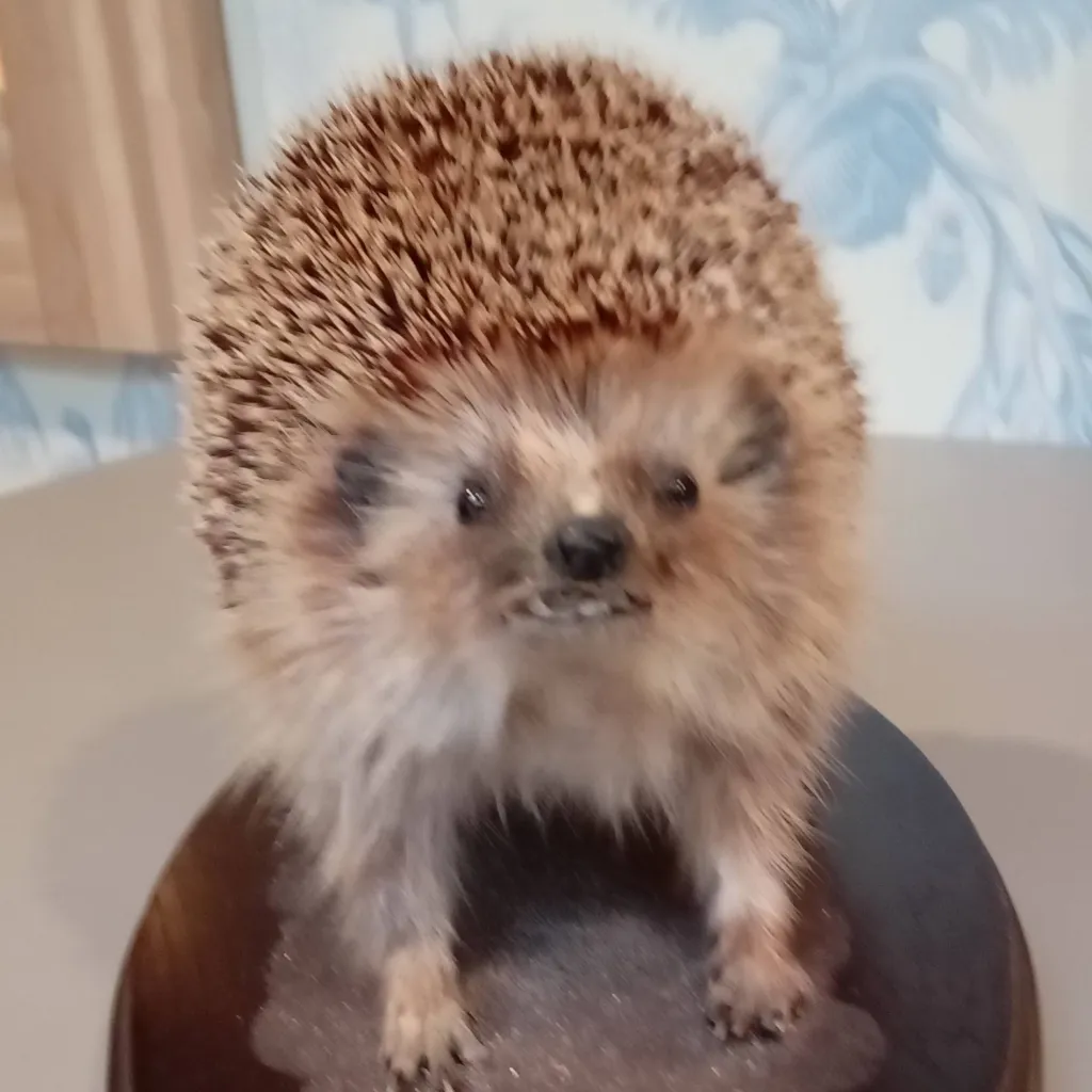 chat with ai character: vijand