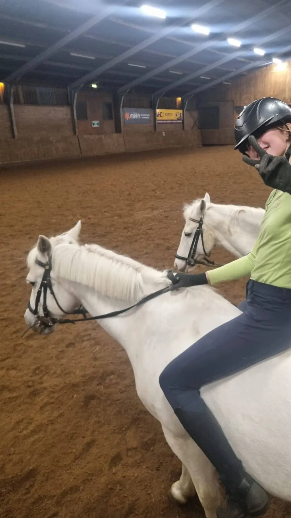 ai character: eline background