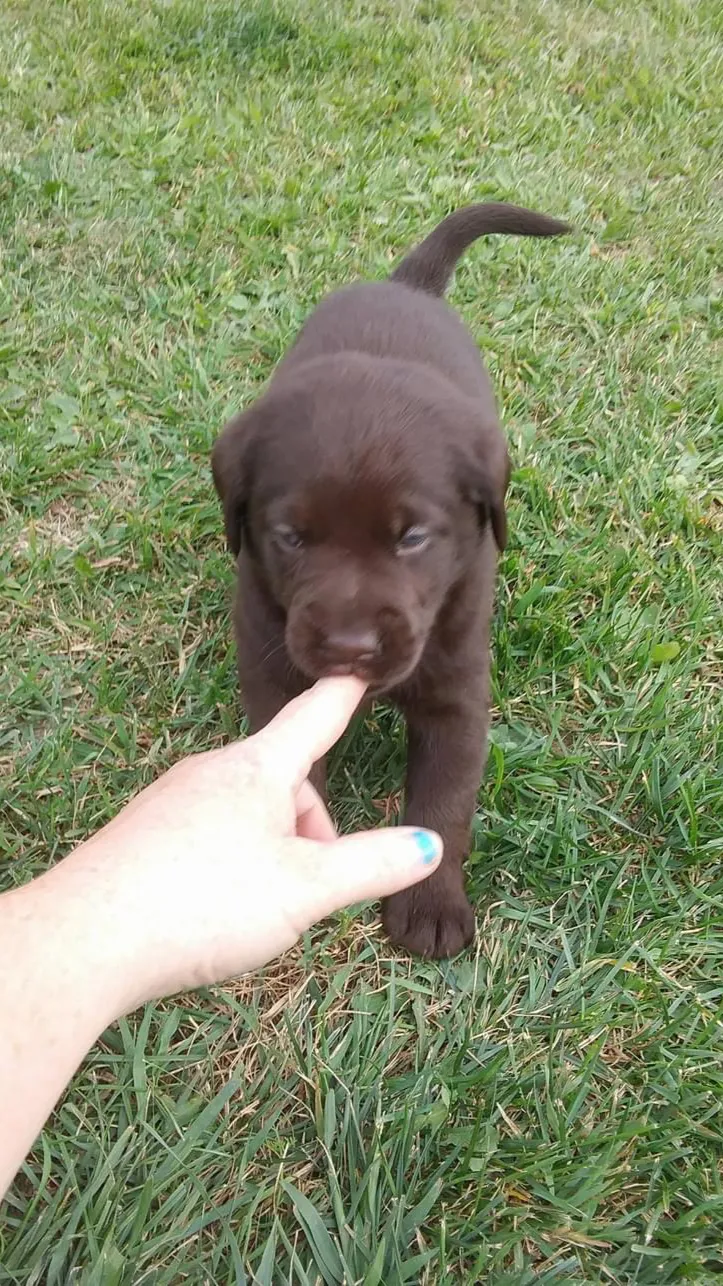 ai character: Baby Liberty background