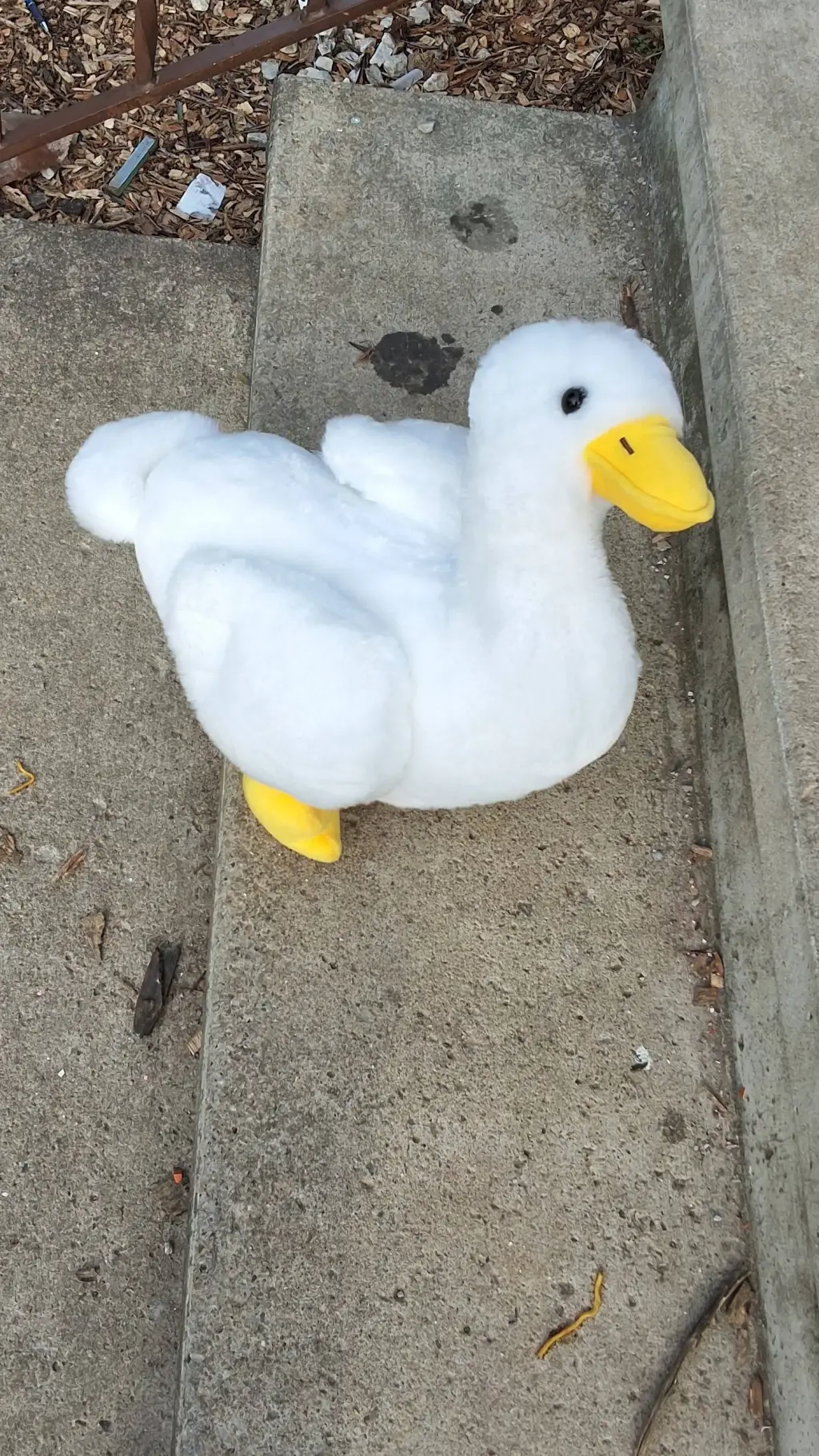 Talkie AI - Chat with ✨duck✨🥰