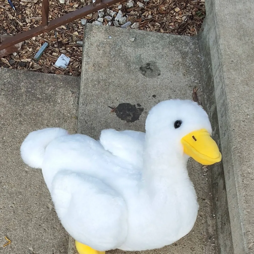 chat with ai character: ✨duck✨🥰