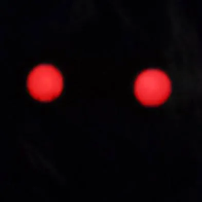 chat with ai character: [Kms] 