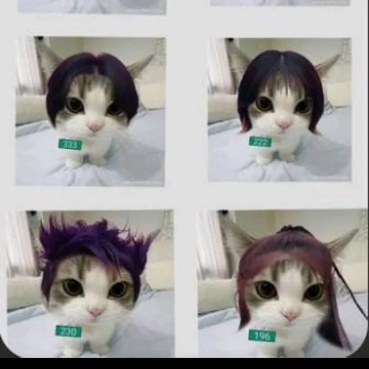chat with ai character: squid games