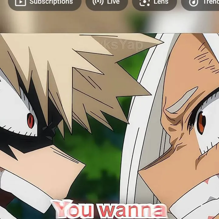 chat with ai character: mirko and bakugo