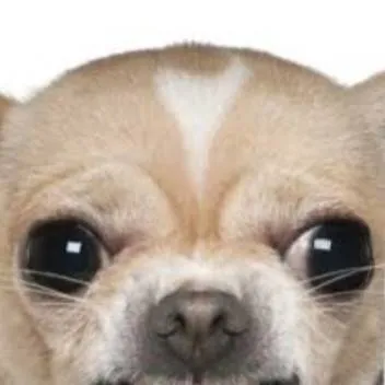 chat with ai character: cachorro 