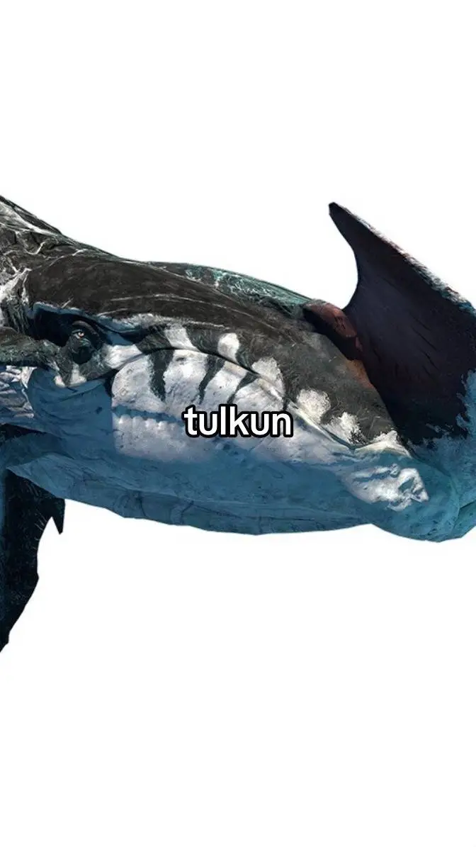 ai character: Tulkun background