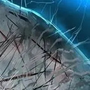 chat with ai character: That f### whale