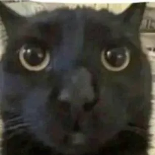 chat with ai character: LARRY'S BROTHER 