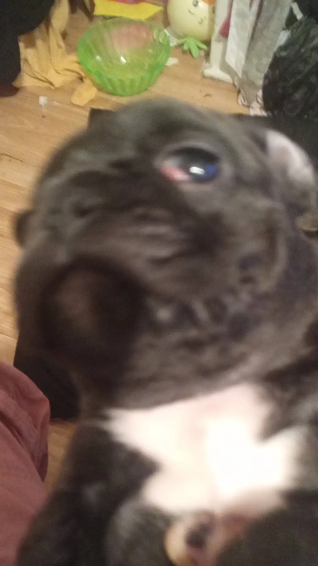 ai character: Jamie  background