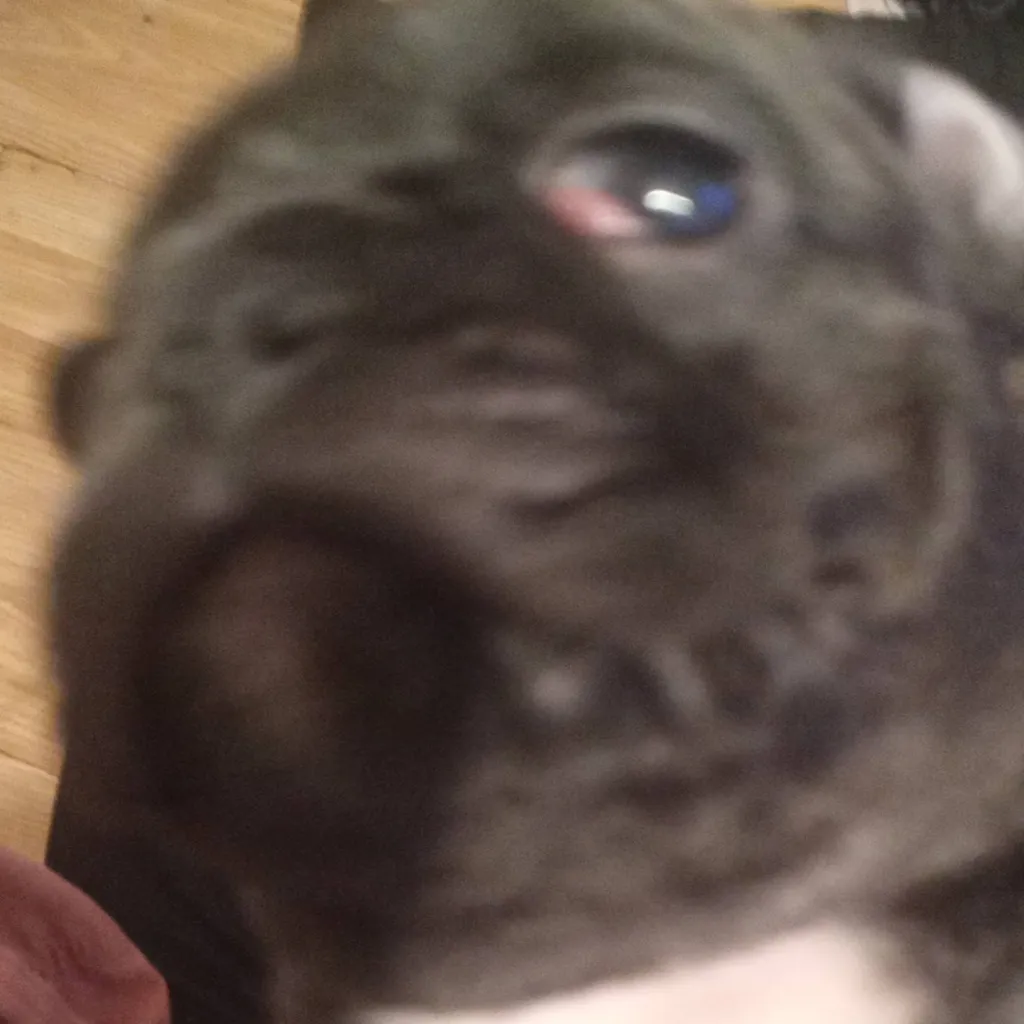 chat with ai character: Jamie 