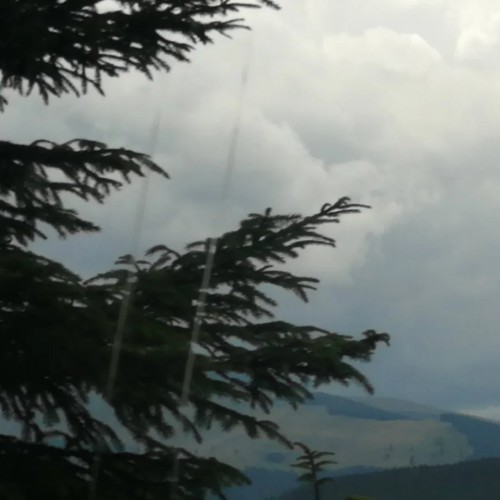 chat with ai character: JJBA Sleepover