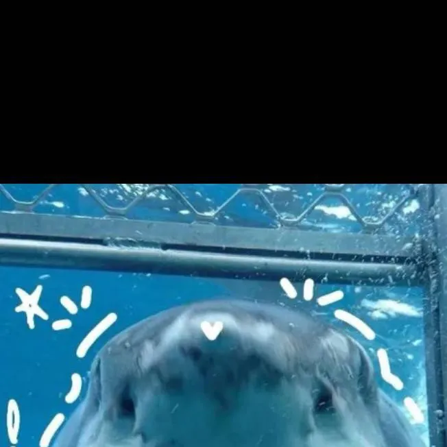 chat with ai character: Ashton 🍡🍥❤️