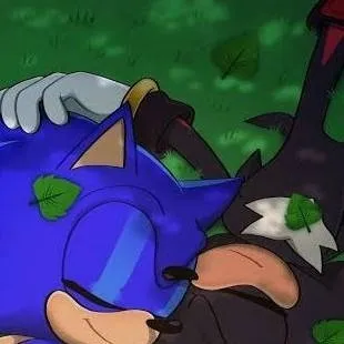 chat with ai character: 🐾Sonic x Shadow! 🐾