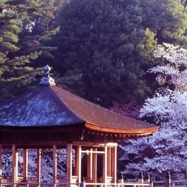 chat with ai character: pijamada de chicas