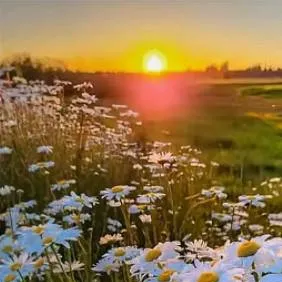 chat with ai character: ᥫ᭡FORSAKENᥫ᭡