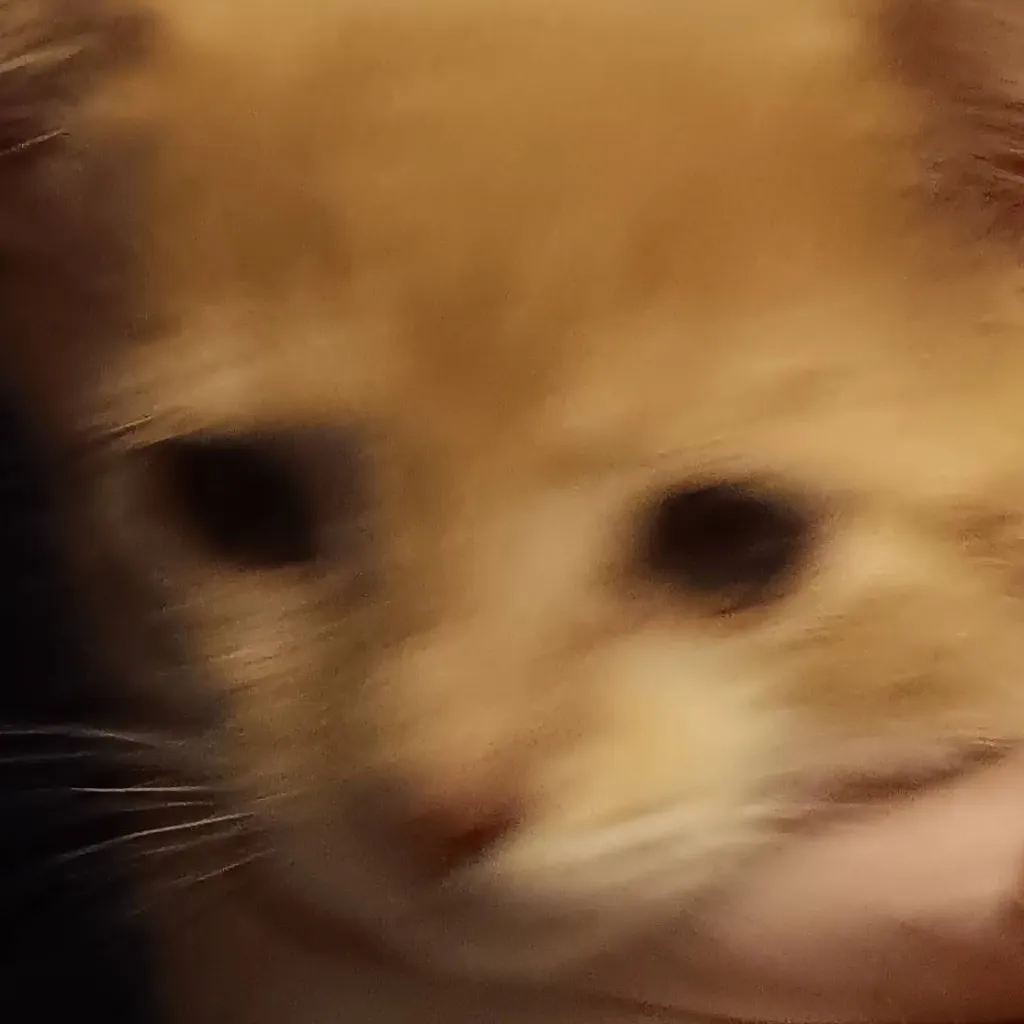 chat with ai character: cat