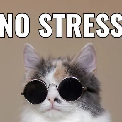 chat with ai character: What beats what?