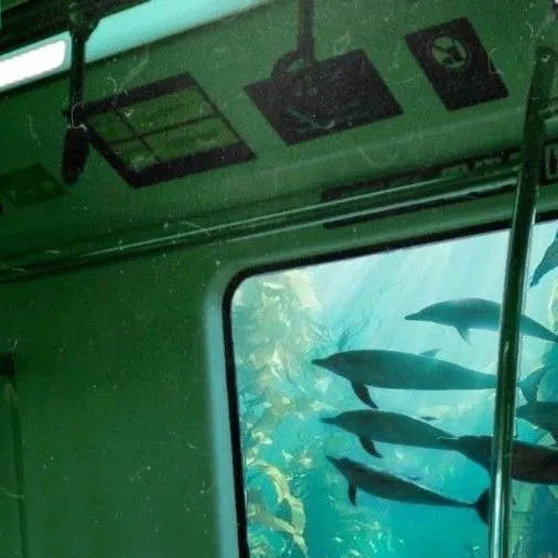 chat with ai character: (capítulo 2)